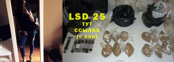 прущие крисы Беломорск