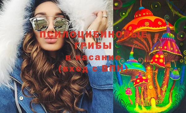 прущие грибы Белокуриха
