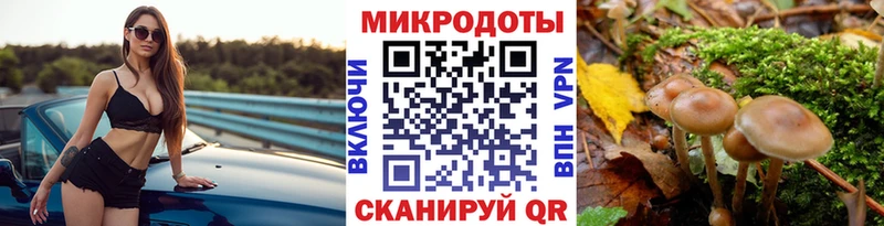 Псилоцибиновые грибы прущие грибы  блэк спрут зеркало  Лагань 
