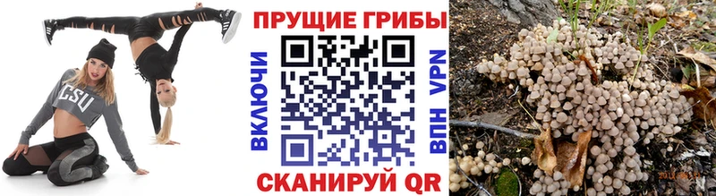 Галлюциногенные грибы ЛСД Лагань